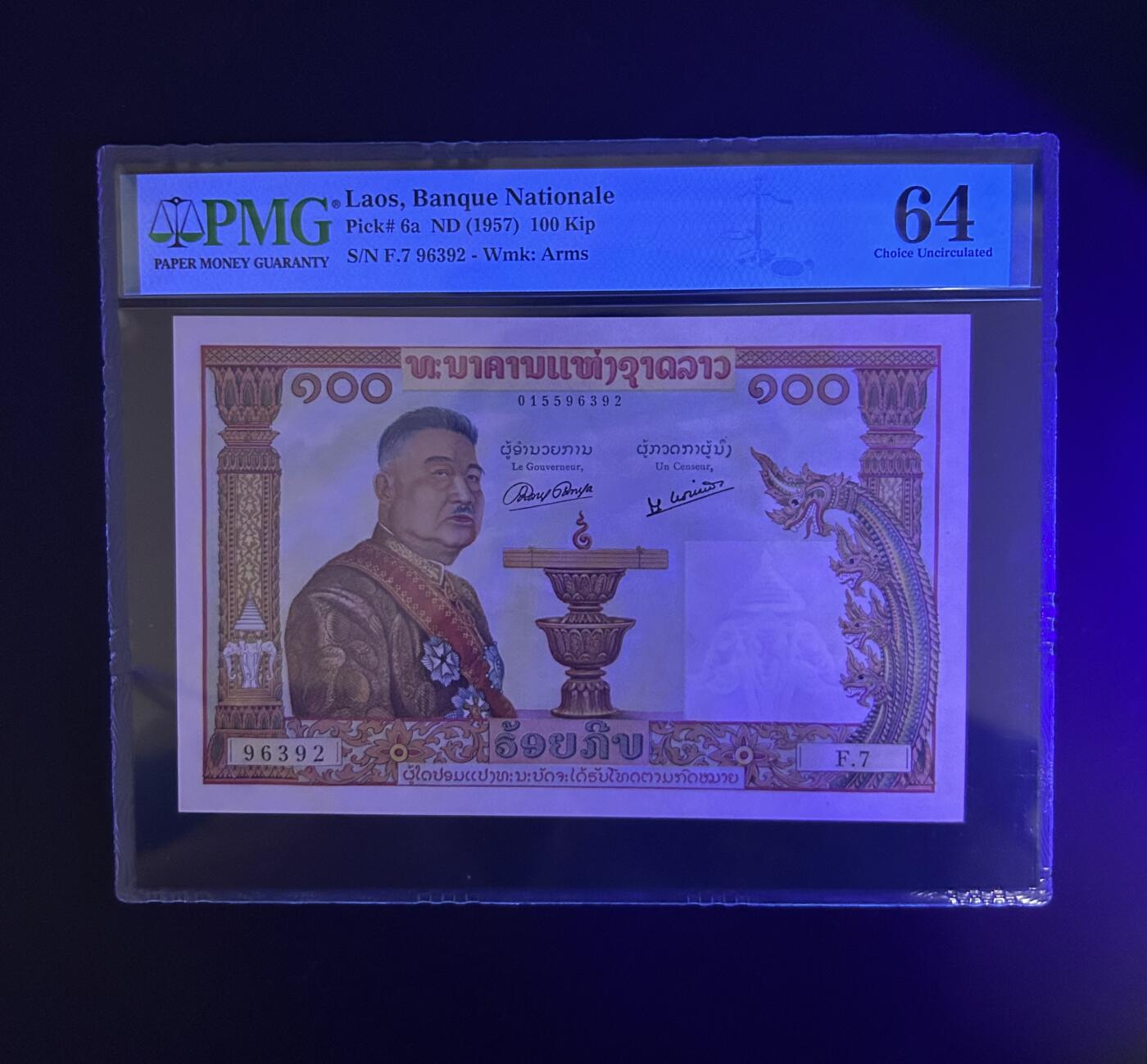 【丑猫0612】今晚7点整 增加一拍猪哥