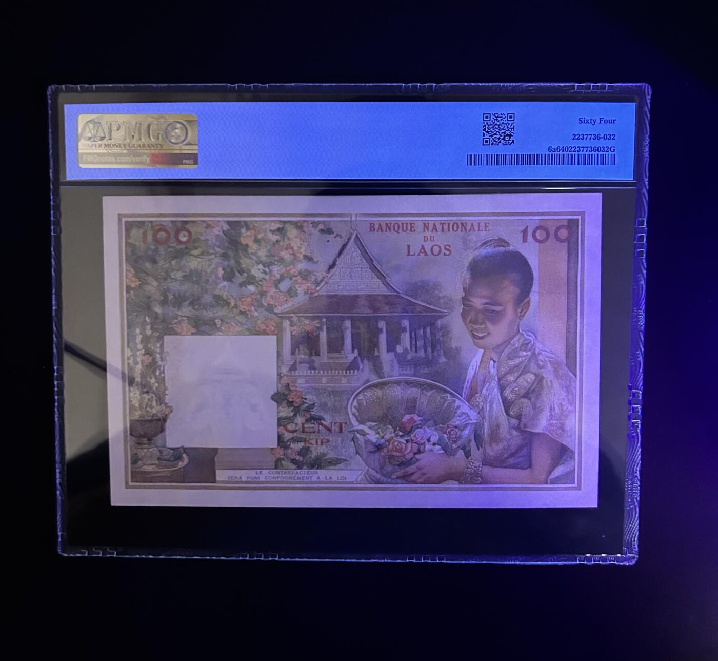 【丑猫0612】今晚7点整 增加一拍猪哥