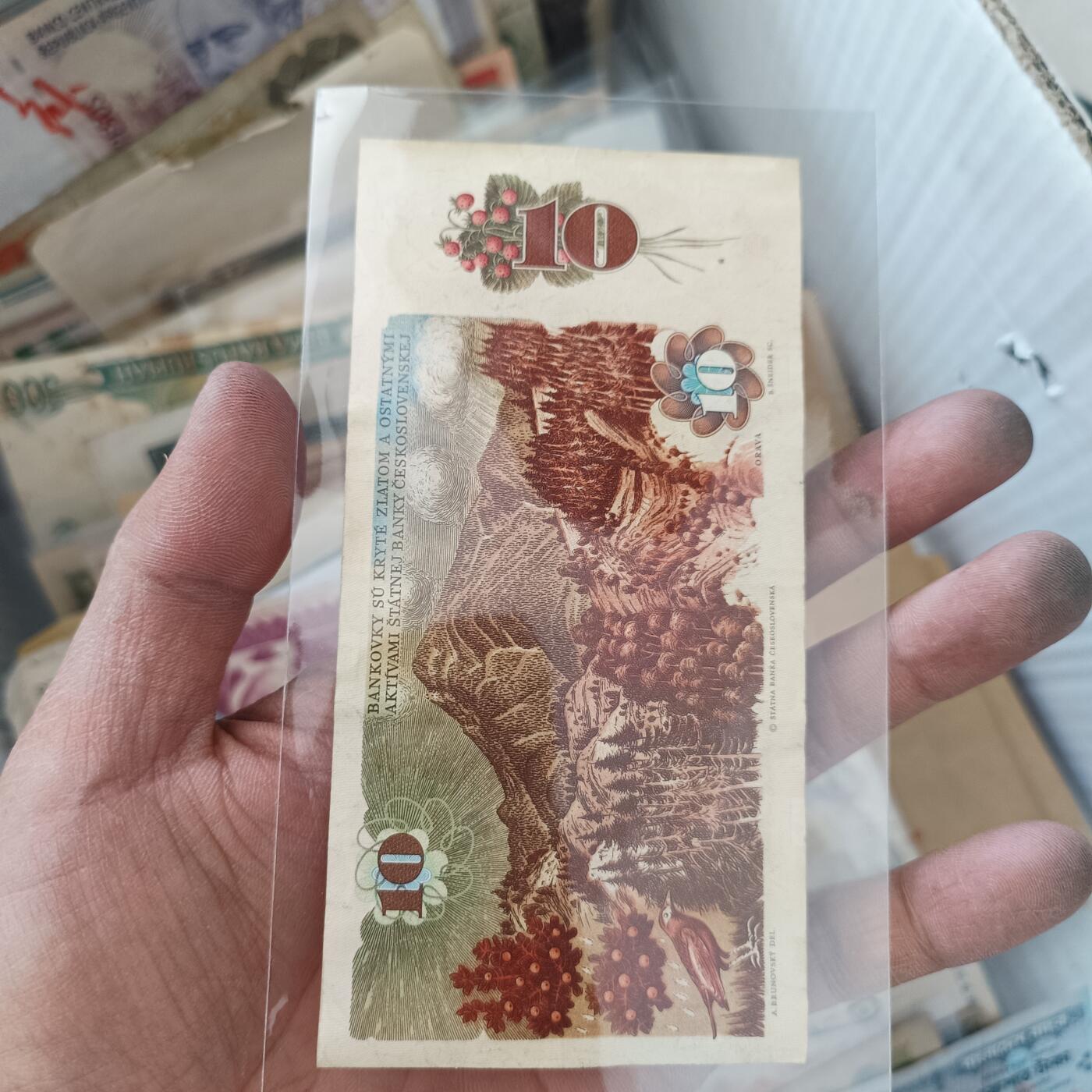 泡泡堂微拍第335幕捡漏可累计专场👿👿，累计满五十元包邮，接受代拍业务 捷克斯洛伐克十克朗