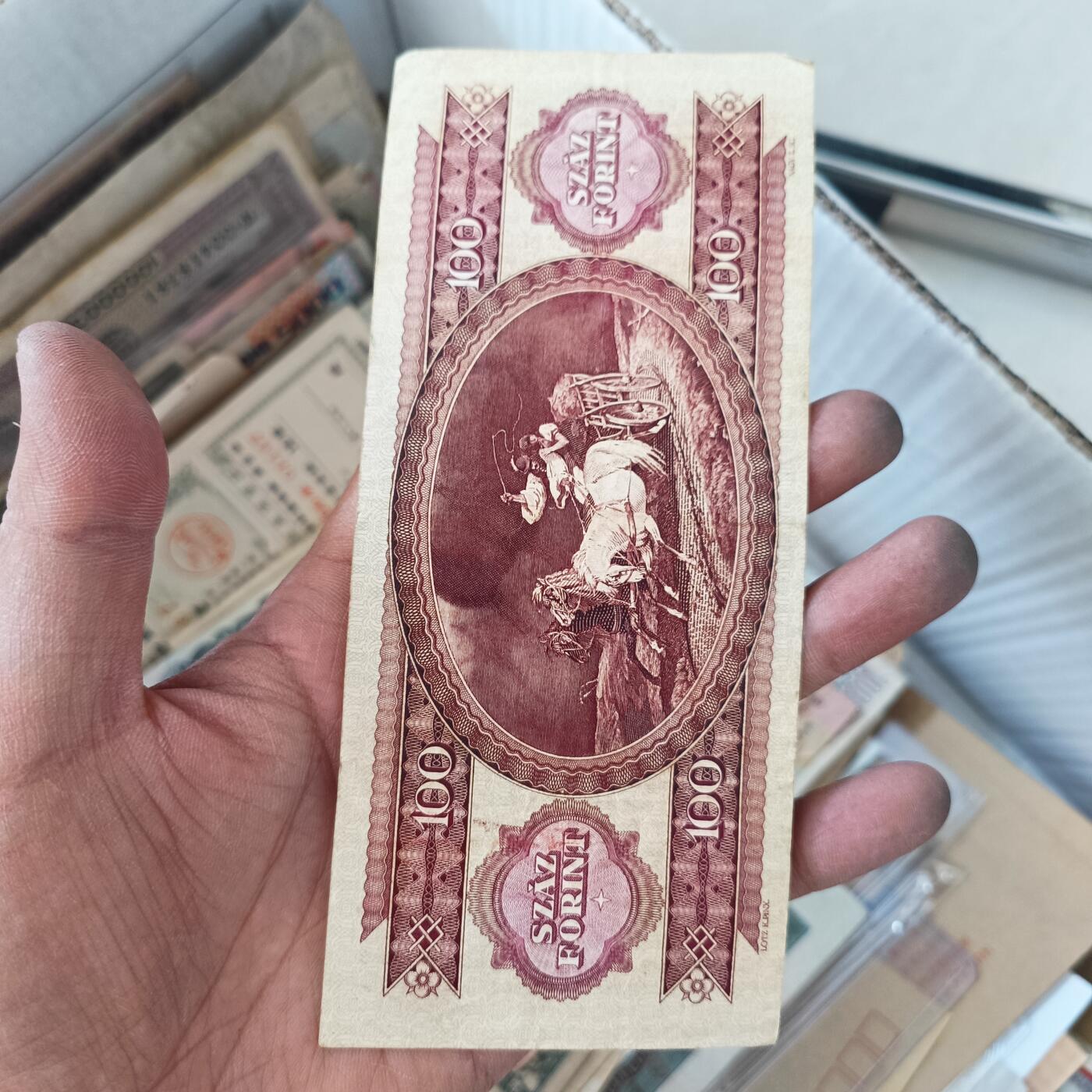 泡泡堂微拍第336幕捡漏可累计专场👿👿，累计满五十元包邮，接受代拍业务 匈牙利100茯苓
