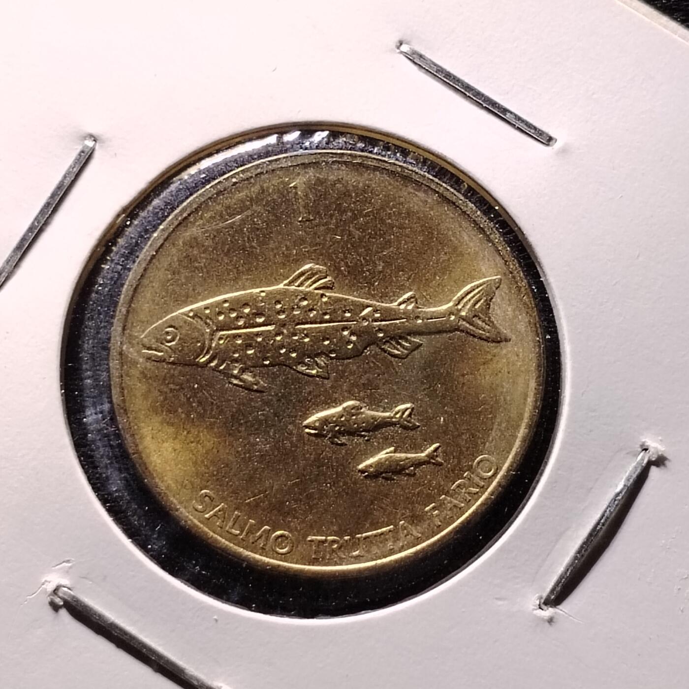 20240611 斯洛文尼亚