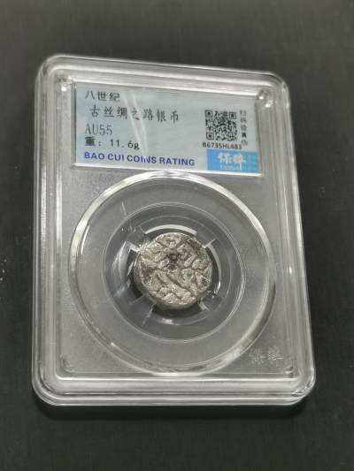 臻藏泉阁国内外钱币 - 公元八世纪古丝绸之路银币