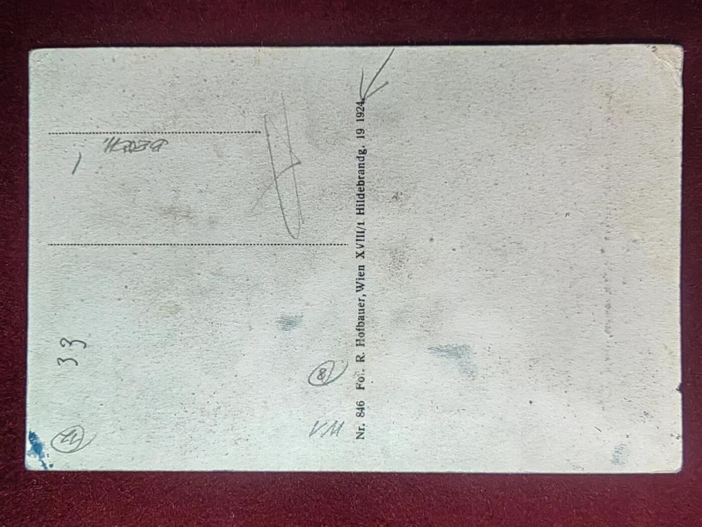 联合阁邮币社™ ——“古典明信片专场” 维也纳自然博物馆