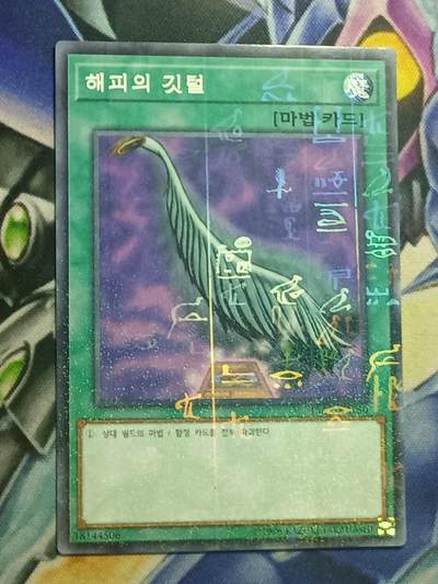 【游宝卡牌】福袋卡包场 龙年第二季即将结束 卡牌清仓大甩卖 - 神鹰羽毛扫 韩版千年闪 [冷门版本不常见 有喜欢收藏的不要错过]