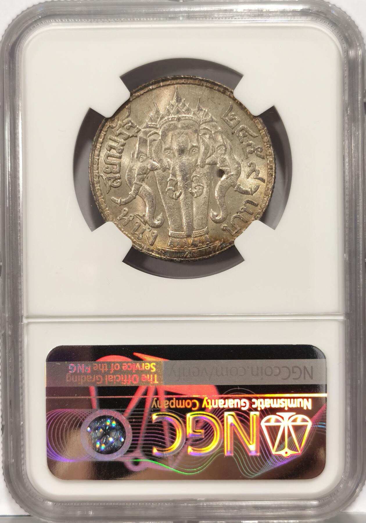 【麦稀奇世界钱币展】博洋堂“流萤染夏”六月精品专场暨第081期（全场包邮） NGC MS62 泰国1916年拉玛六世一株银币 金光环彩包浆  状态不错