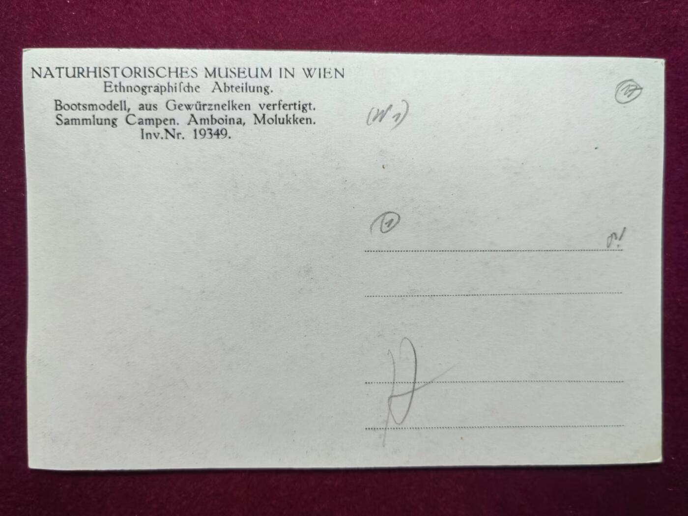 联合阁邮币社™ ——“古典明信片专场” 由丁香制成的船模型