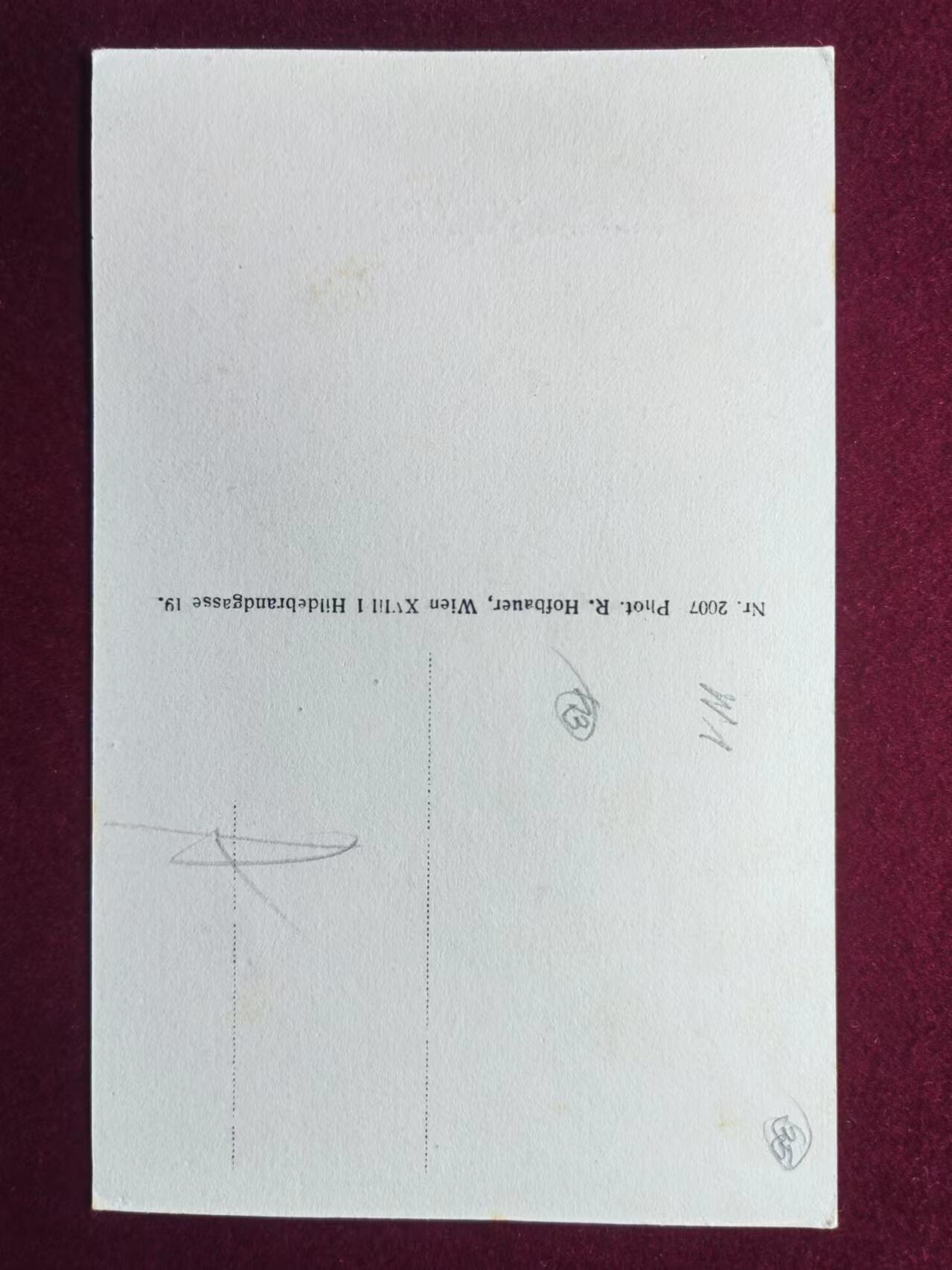 联合阁邮币社™ ——“古典明信片专场” 维也纳自然博物馆