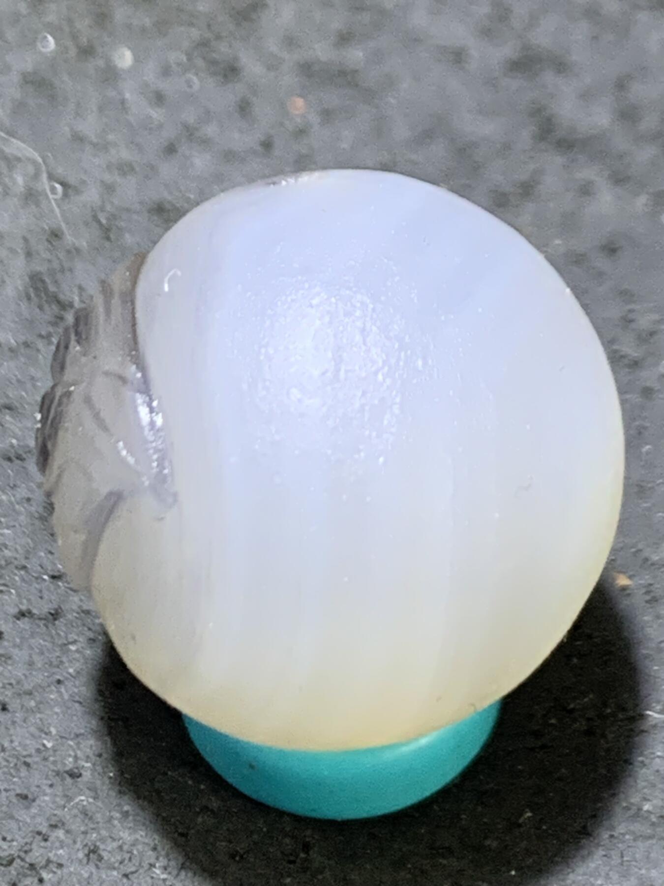 精美高玉化亚光海洋玉髓手工俏色巧雕树叶，玉蝉随形圆珠一个