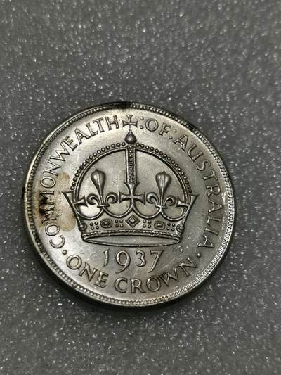 臻藏泉阁国内外钱币 - 澳大利亚皇冠1克朗银币
