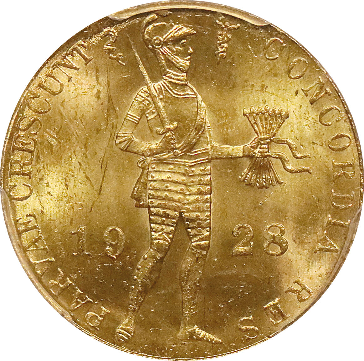 北京阿城哥拍卖2024年春季拍卖会 1928年荷兰武士金币一枚，PCGS MS64评级编号：36645333
