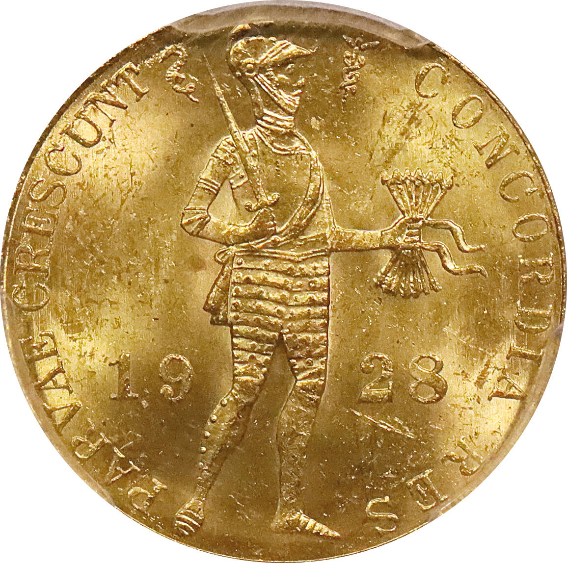 北京阿城哥拍卖2024年春季拍卖会 1928年荷兰武士金币一枚，PCGS MS63+评级编号：36645352
