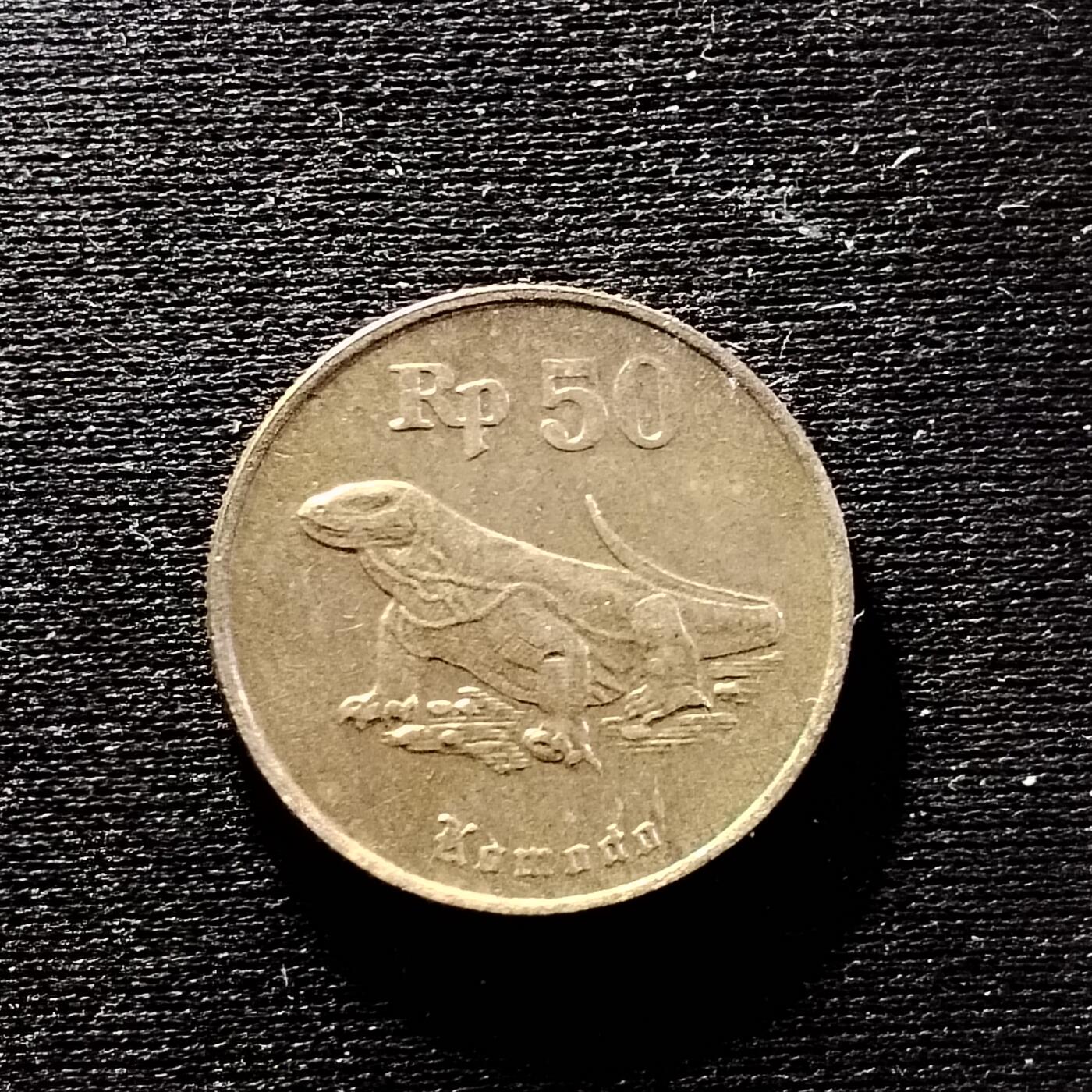 20240614 印度尼西亚