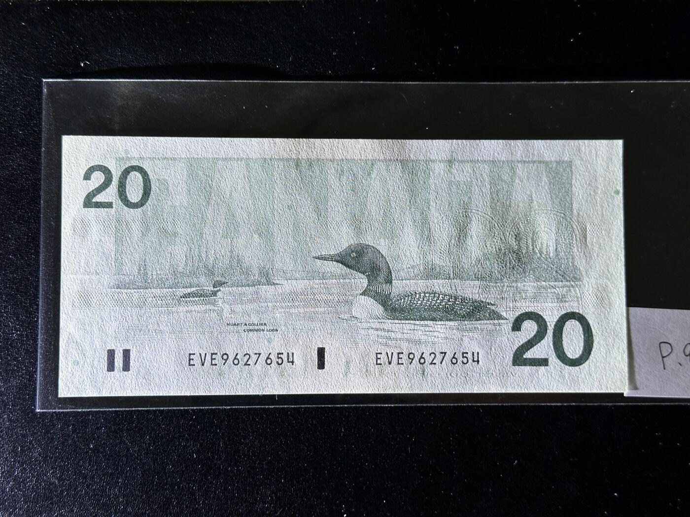 《外钞收藏家》第三百八十一期（美洲小专场）