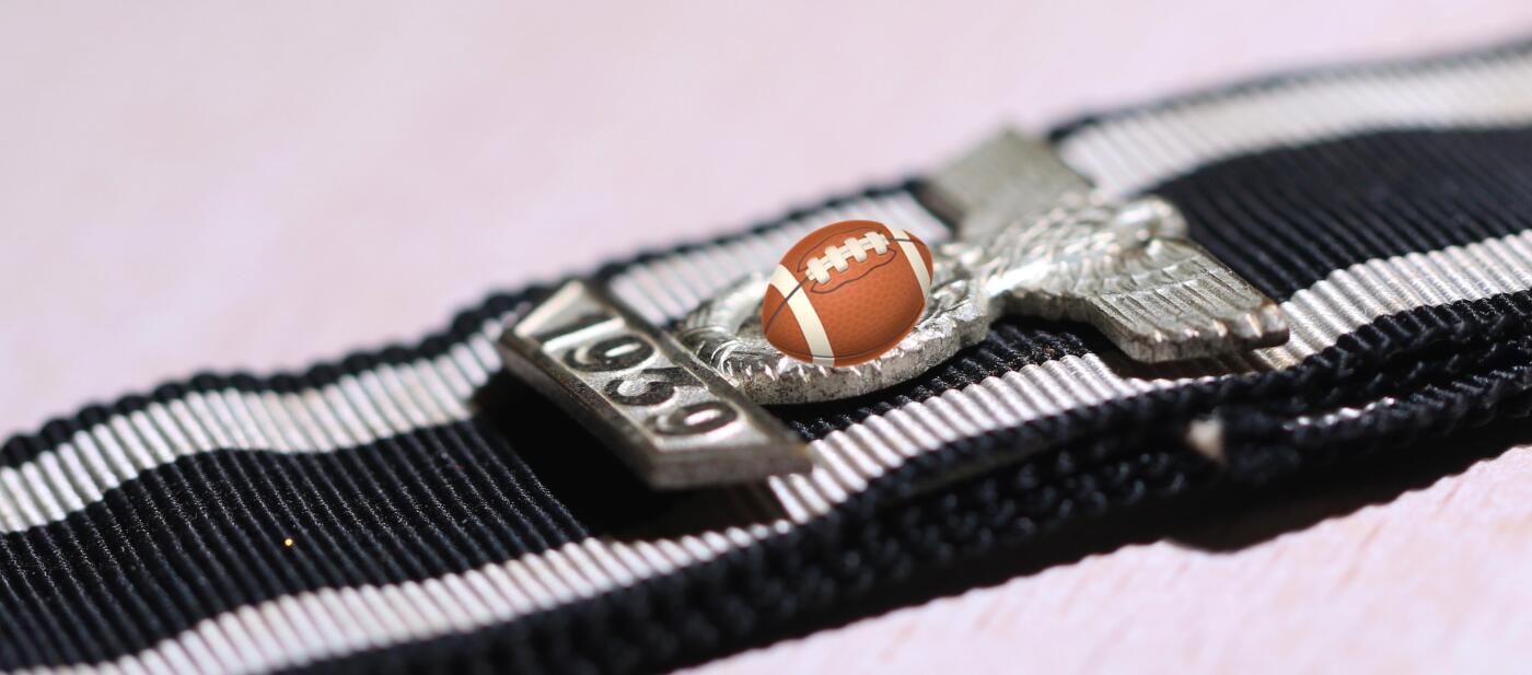 大猫徽章拍卖第249期 珍爱和平 一战二级铁十字的二战勋饰