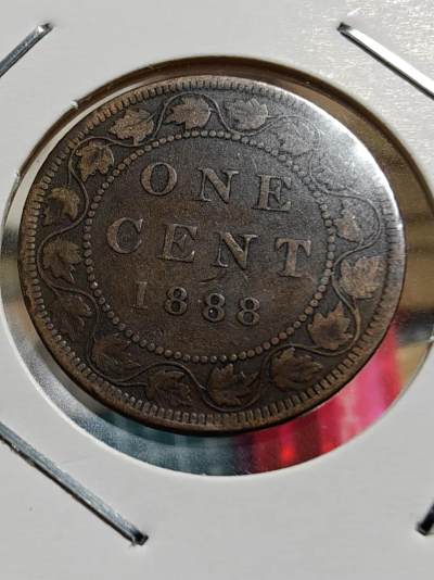 轻松集币无压力 - 加拿大1888年1分铜币（稍微不平）