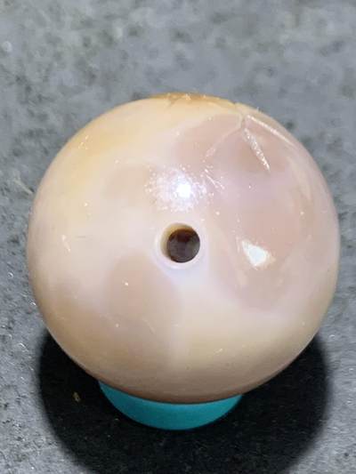 精美高玉化亚光冻料战国红玛瑙手工俏色巧雕刻小鸡出壳珠子一颗！ 精美高玉化亚光冻料战国红玛瑙手工俏色巧雕刻小鸡出壳珠子一颗！