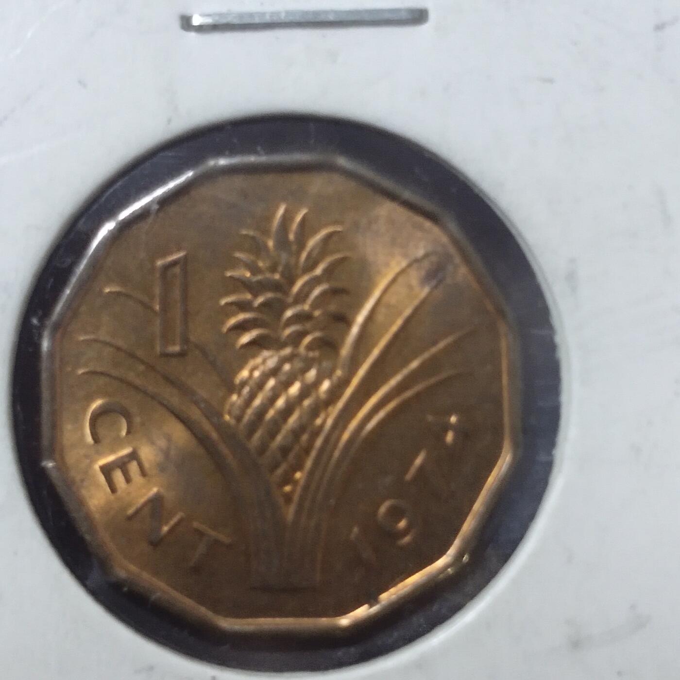 老铜币捡漏专场第三期（无押金可累计，捡漏，全场50包邮，偏远地区除外 外国硬币