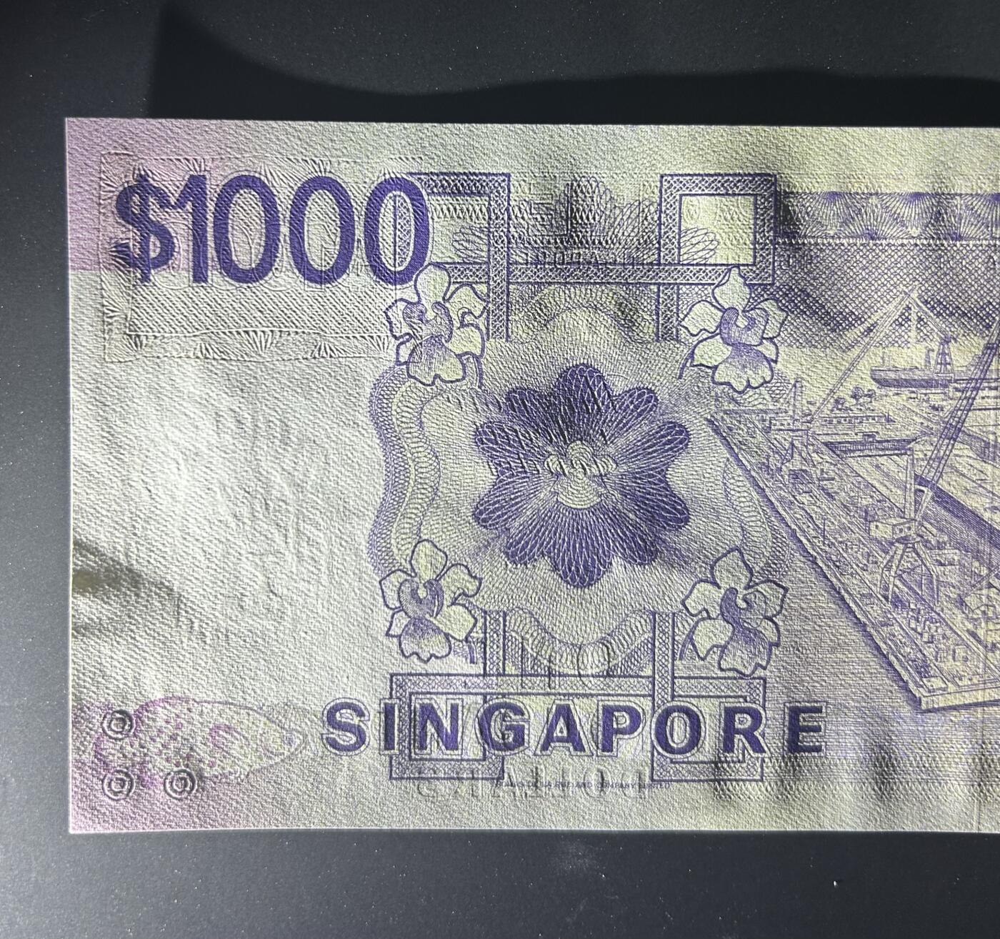 【丑猫0629】今晚7点整，自动快拍 新加坡大船1000