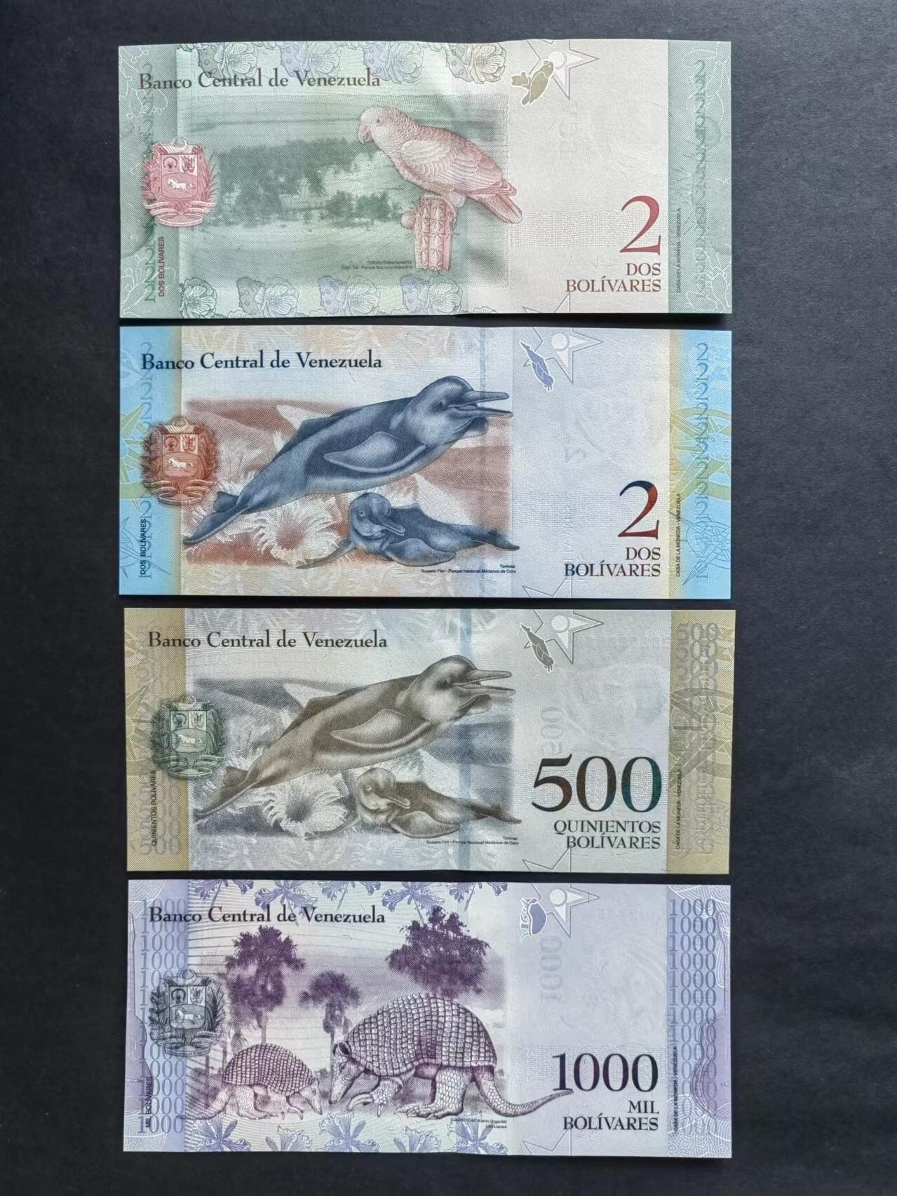 外中纸币专场20240622第一场 委内瑞拉4张UNC