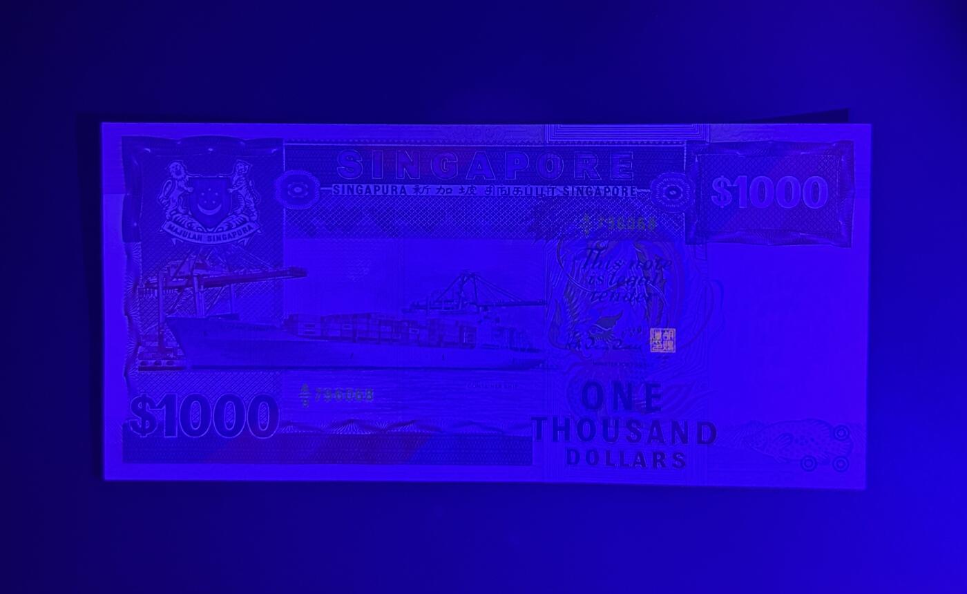 【丑猫0629】今晚7点整，自动快拍 新加坡大船1000