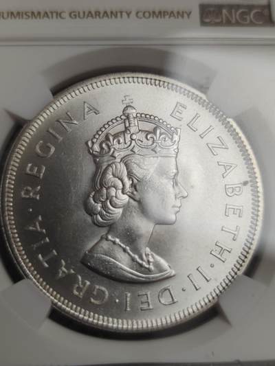 燕姐换藏第82拍 百慕大1959年一克朗大银币