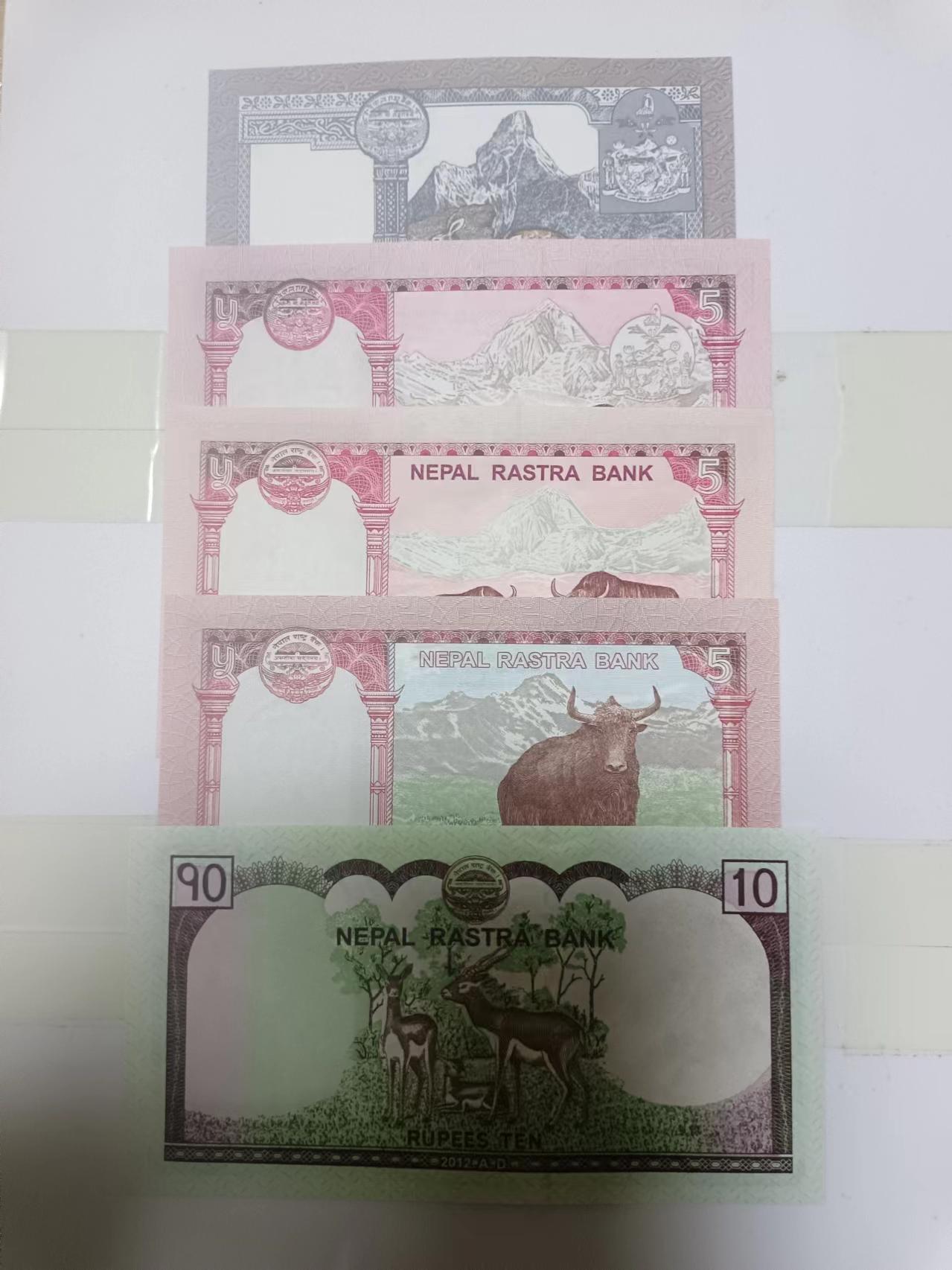【20240623】非全新纸币第145场 尼泊尔5张纸币