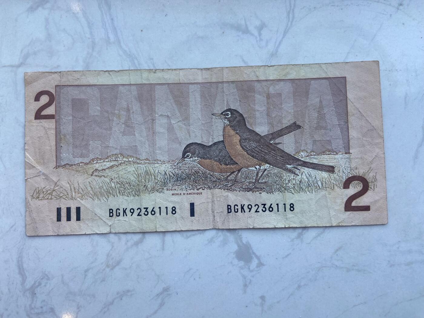 【炜奕收藏】裸钞专场第八期 1986年加拿大鸟版2元纸币，流通品相