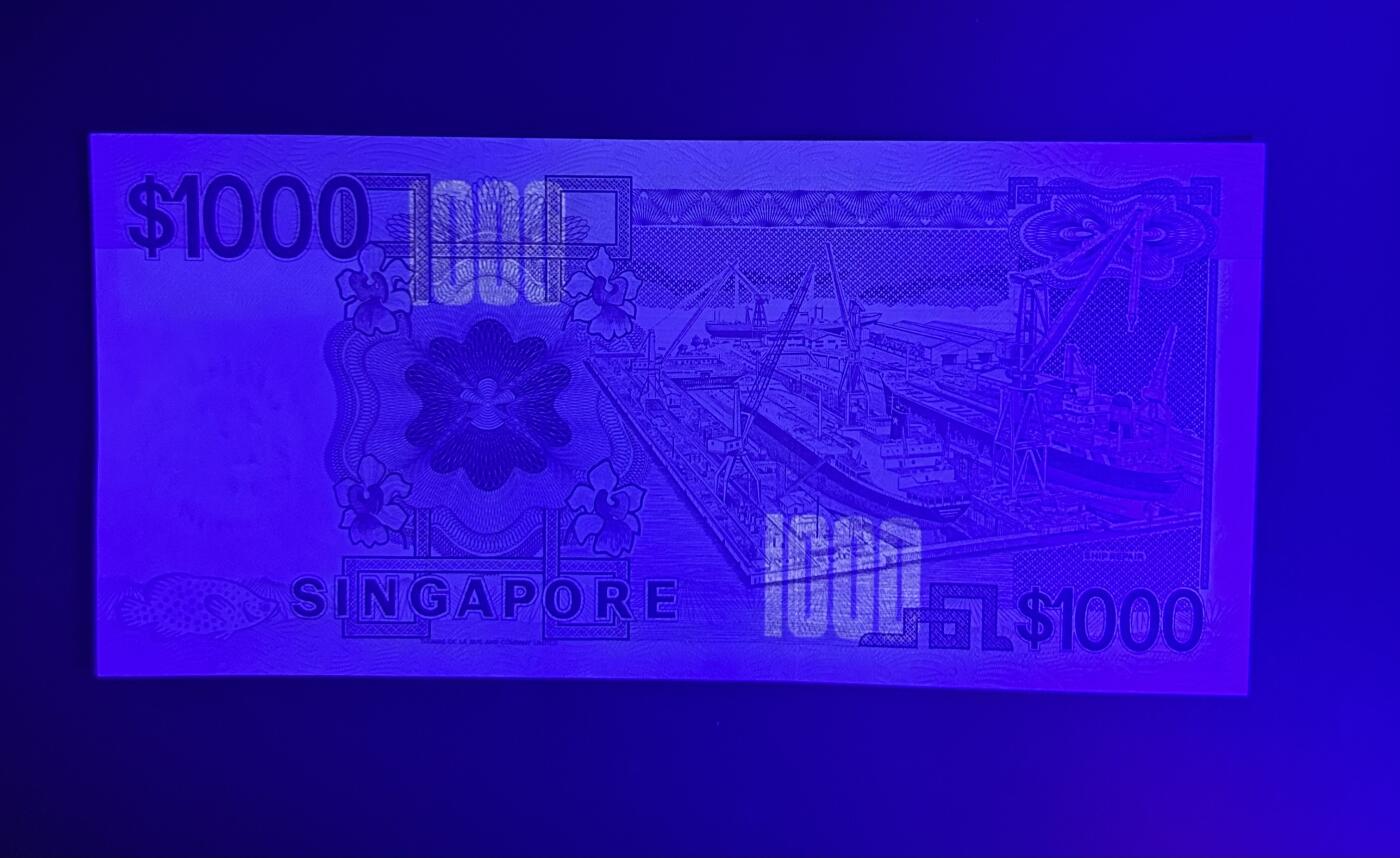 【丑猫0629】今晚7点整，自动快拍 新加坡大船1000