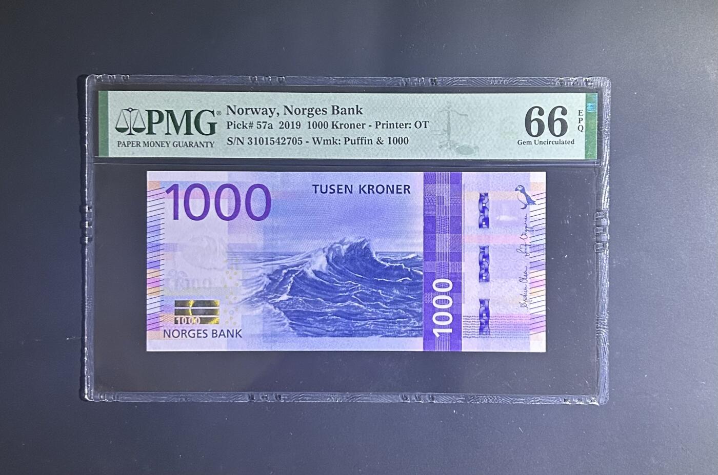 【丑猫0629】今晚7点整，自动快拍 挪威1000