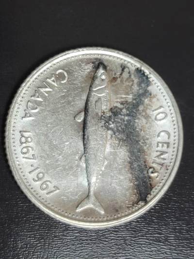 燕姐换藏第82拍 加拿大1967年十分小鱼银币