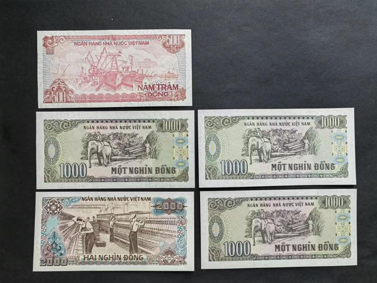 外中纸币专场240719第五场 越南5张UNC