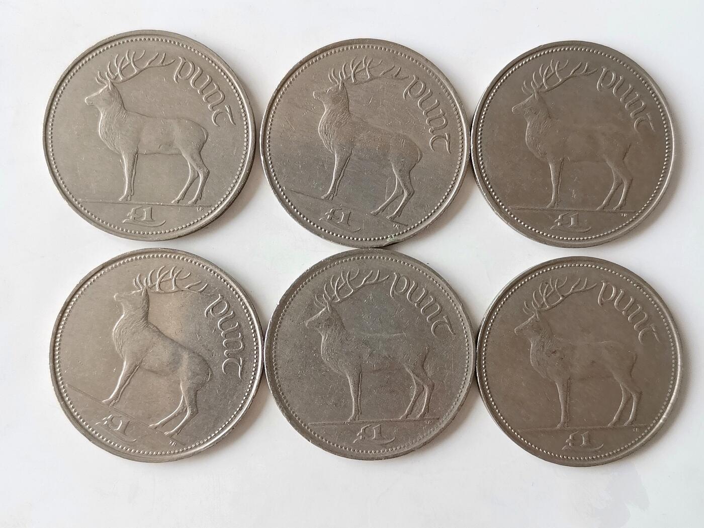 第一海外回流一元起拍收藏 散币专场 第97期 爱尔兰90年代1磅 6枚