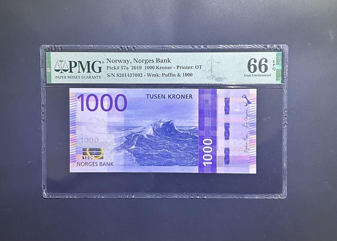 【丑猫0629】今晚7点整，自动快拍 挪威1000