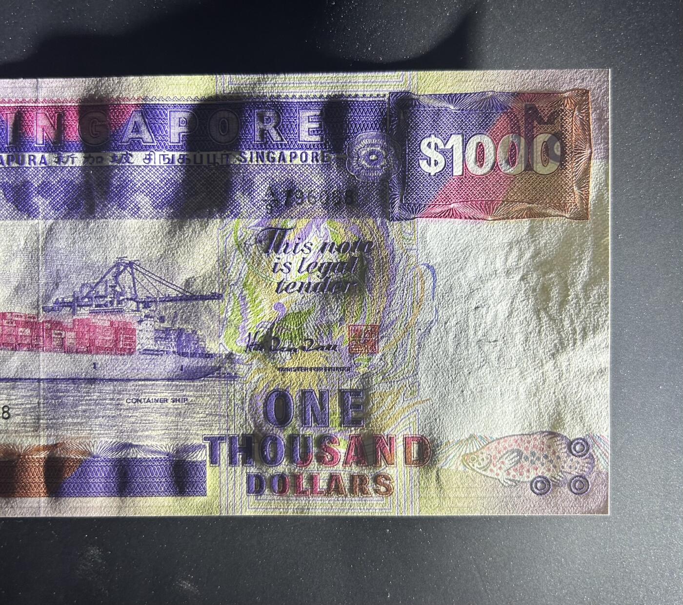 【丑猫0629】今晚7点整，自动快拍 新加坡大船1000