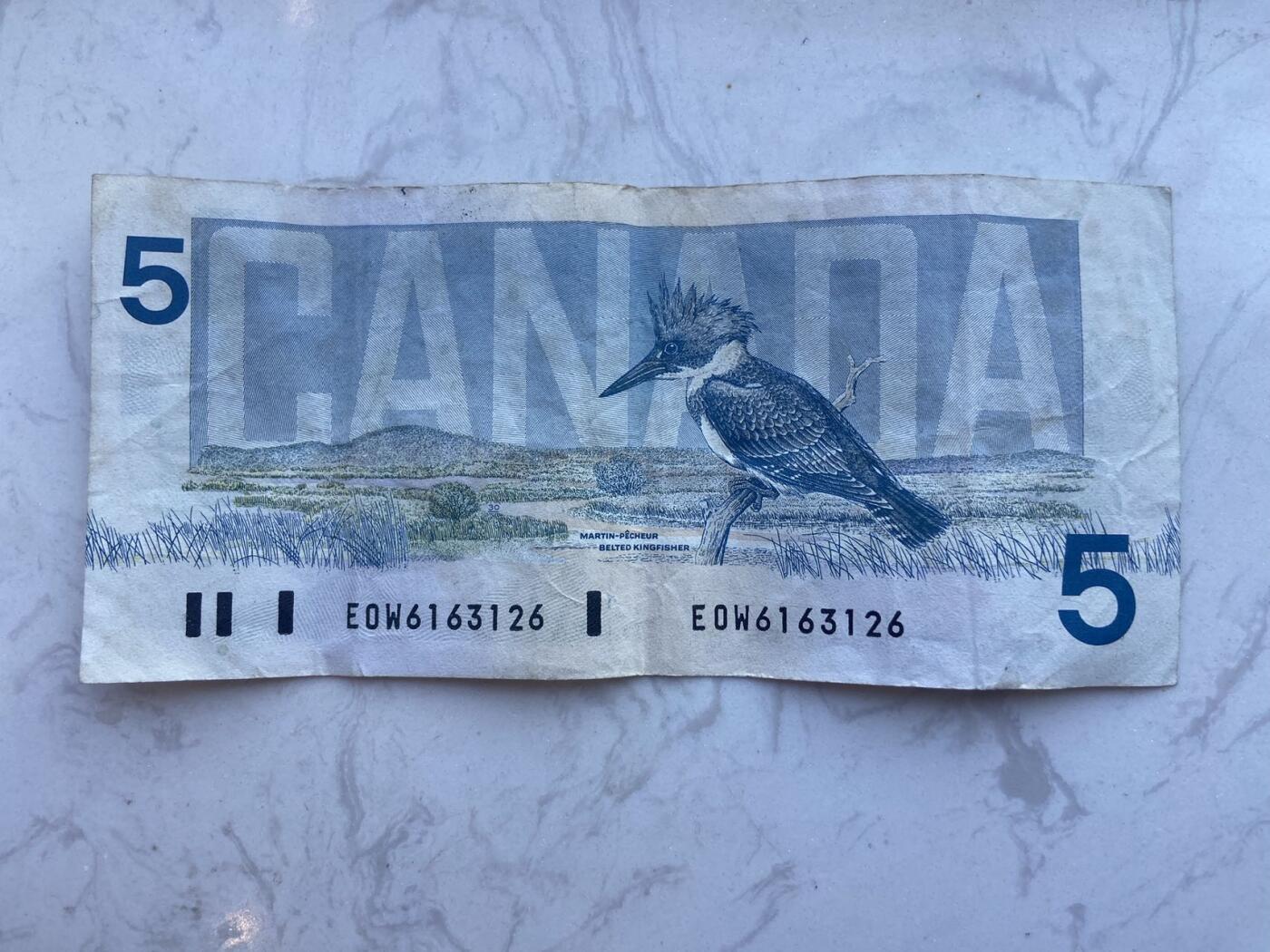 【炜奕收藏】裸钞专场第八期 1986年加拿大鸟版5元纸币，流通品相