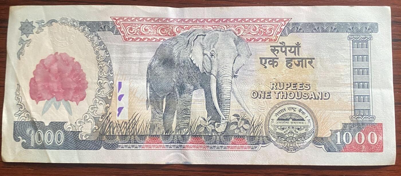 【炜奕收藏】裸钞专场第八期 2008年尼泊尔1000卢布，稀少大红花版，流通品相