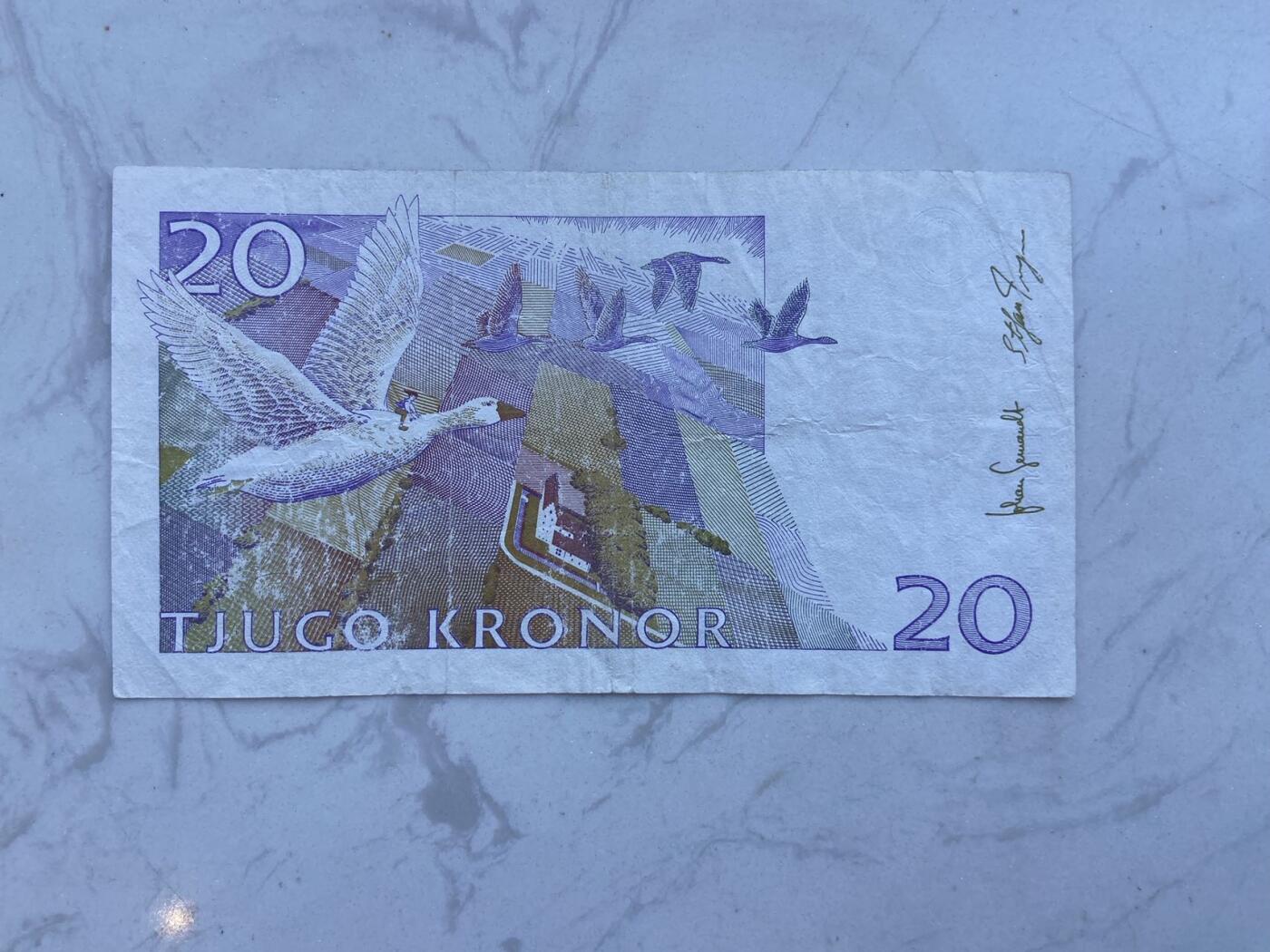 【炜奕收藏】裸钞专场第八期 瑞典20克朗，流通品相
