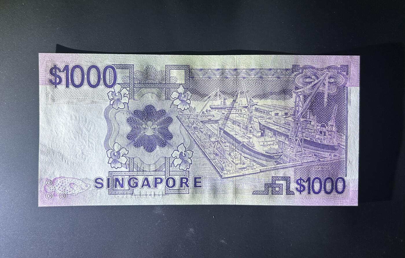 【丑猫0629】今晚7点整，自动快拍 新加坡大船1000