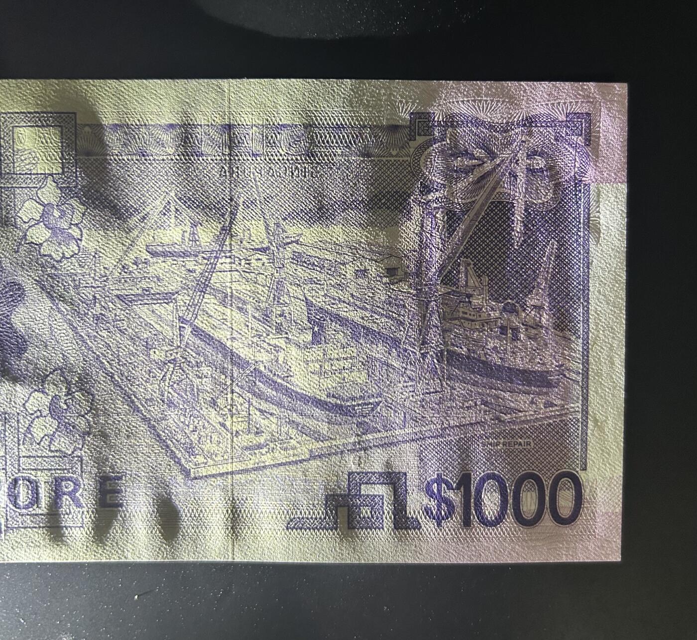 【丑猫0629】今晚7点整，自动快拍 新加坡大船1000