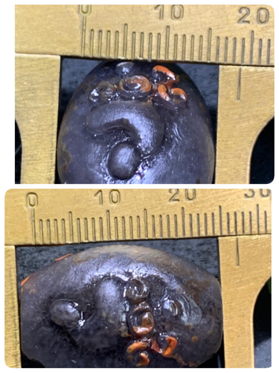 精美高润度冰飘黑糖心料战国红玛瑙手工俏色巧雕得道成佛随形桶珠一个