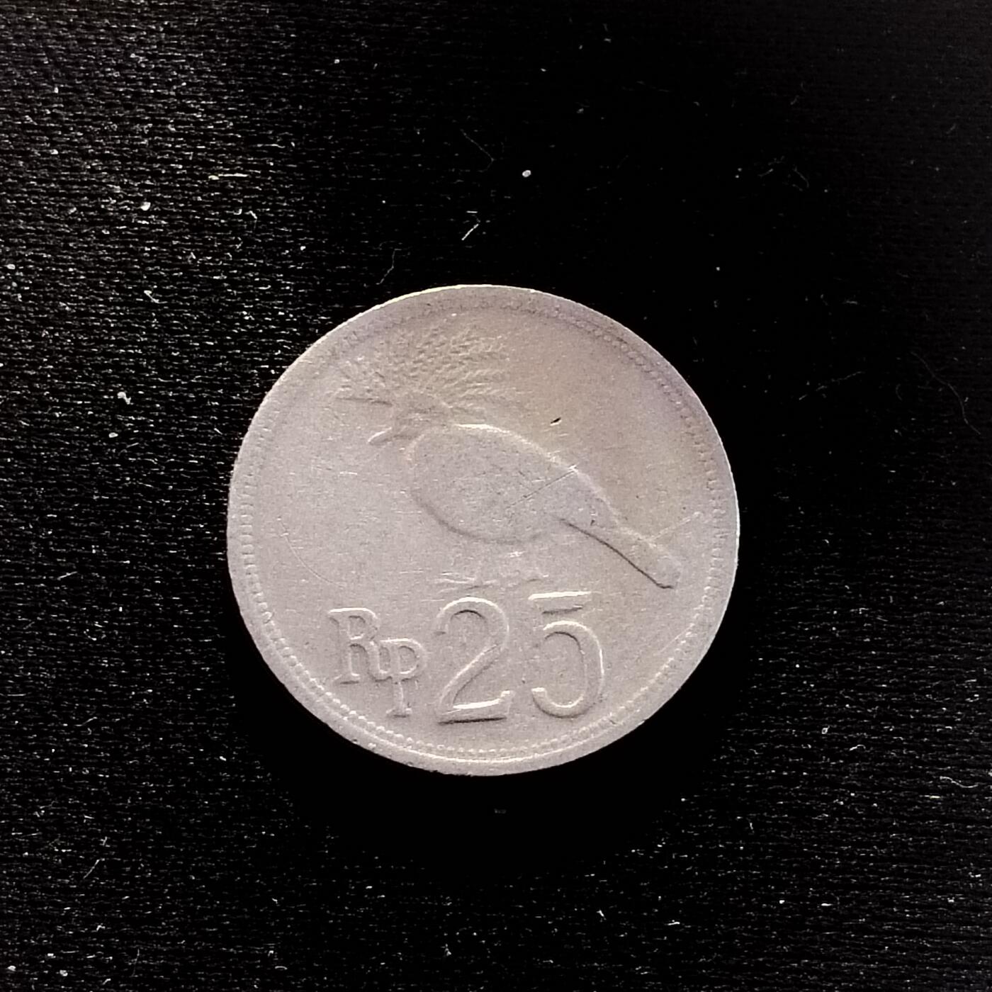 20240618 25