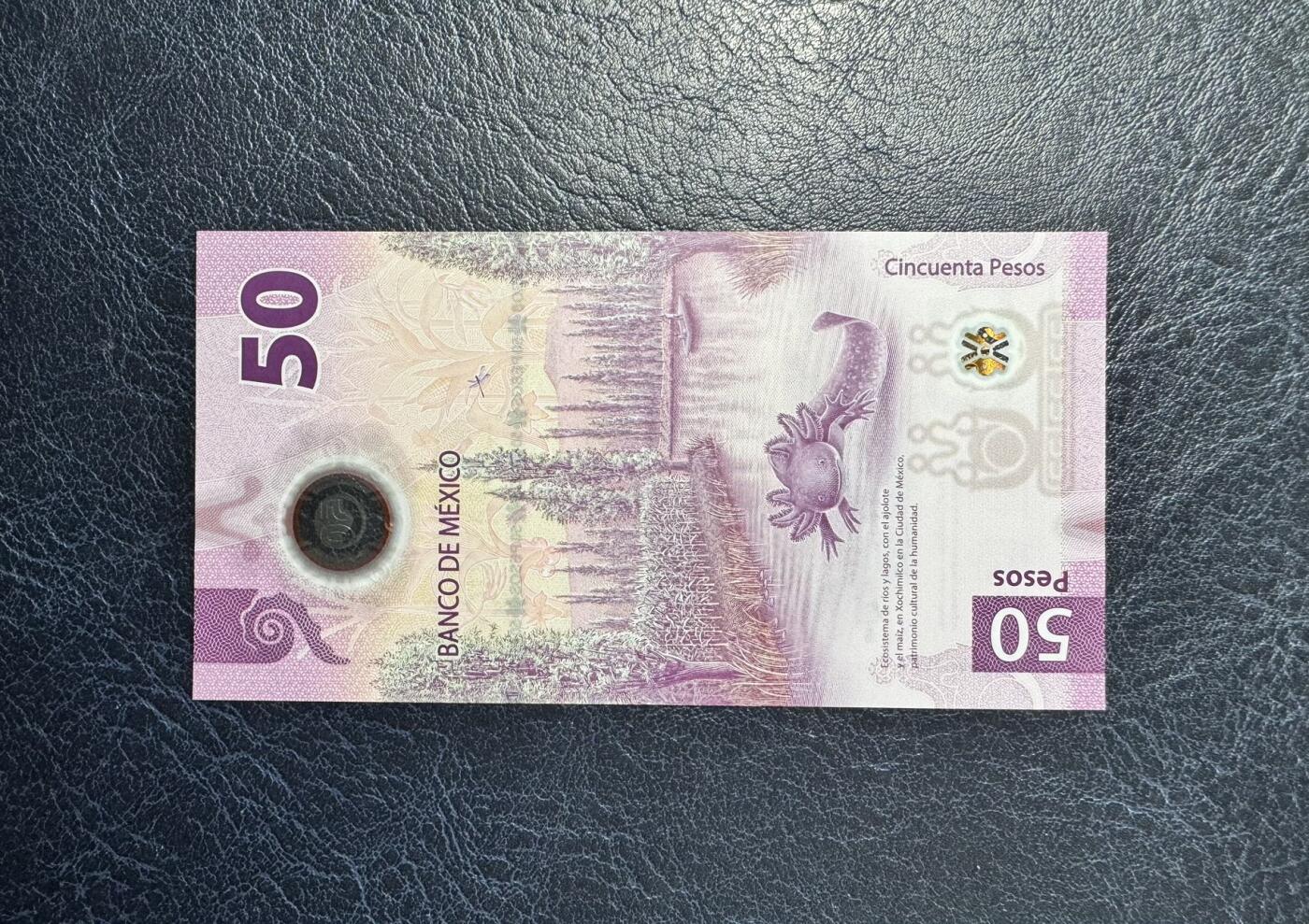 收藏联盟Quantum Auction 第355期拍卖  墨西哥2021年50比索首发AA冠 品相全新UNC 号码无47  IBNS获奖作品