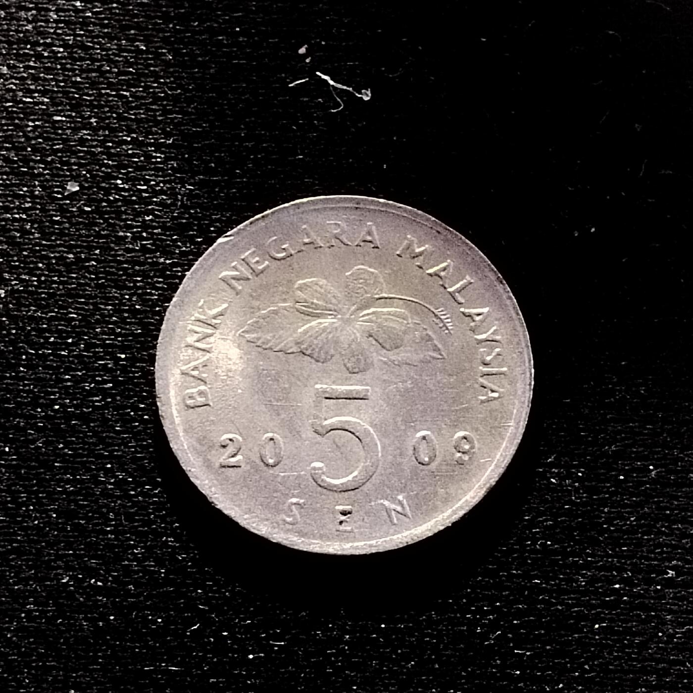 20240618 5