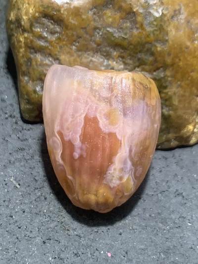 精美亚光冰飘 原皮战国红玛瑙手工雕刻莲蓬吊坠一个， 精美亚光冰飘 原皮战国红玛瑙手工雕刻莲蓬吊坠一个，