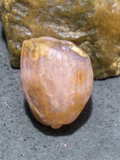 精美亚光冰飘 原皮战国红玛瑙手工雕刻莲蓬吊坠一个， 精美亚光冰飘 原皮战国红玛瑙手工雕刻莲蓬吊坠一个，