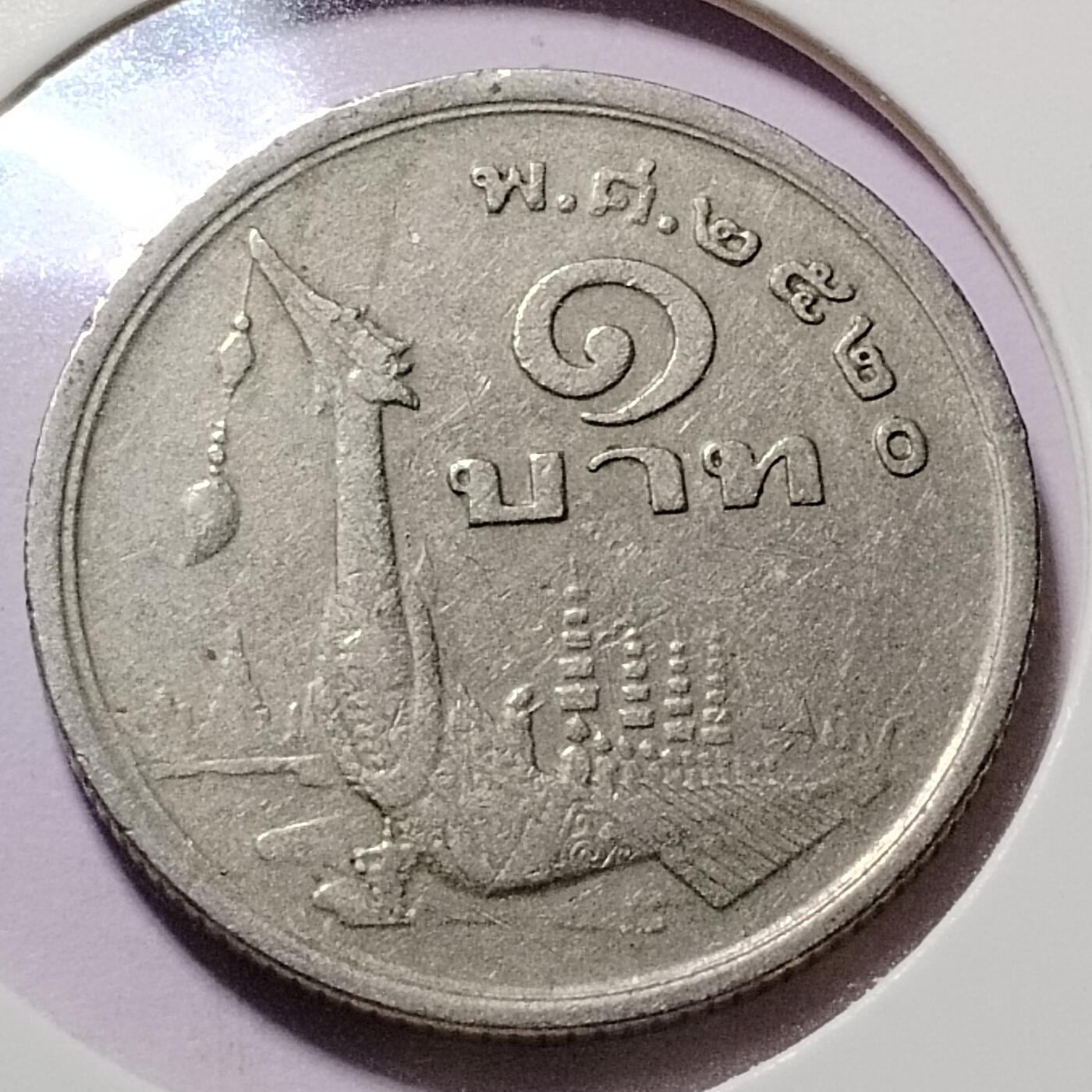 20240620 龙舟