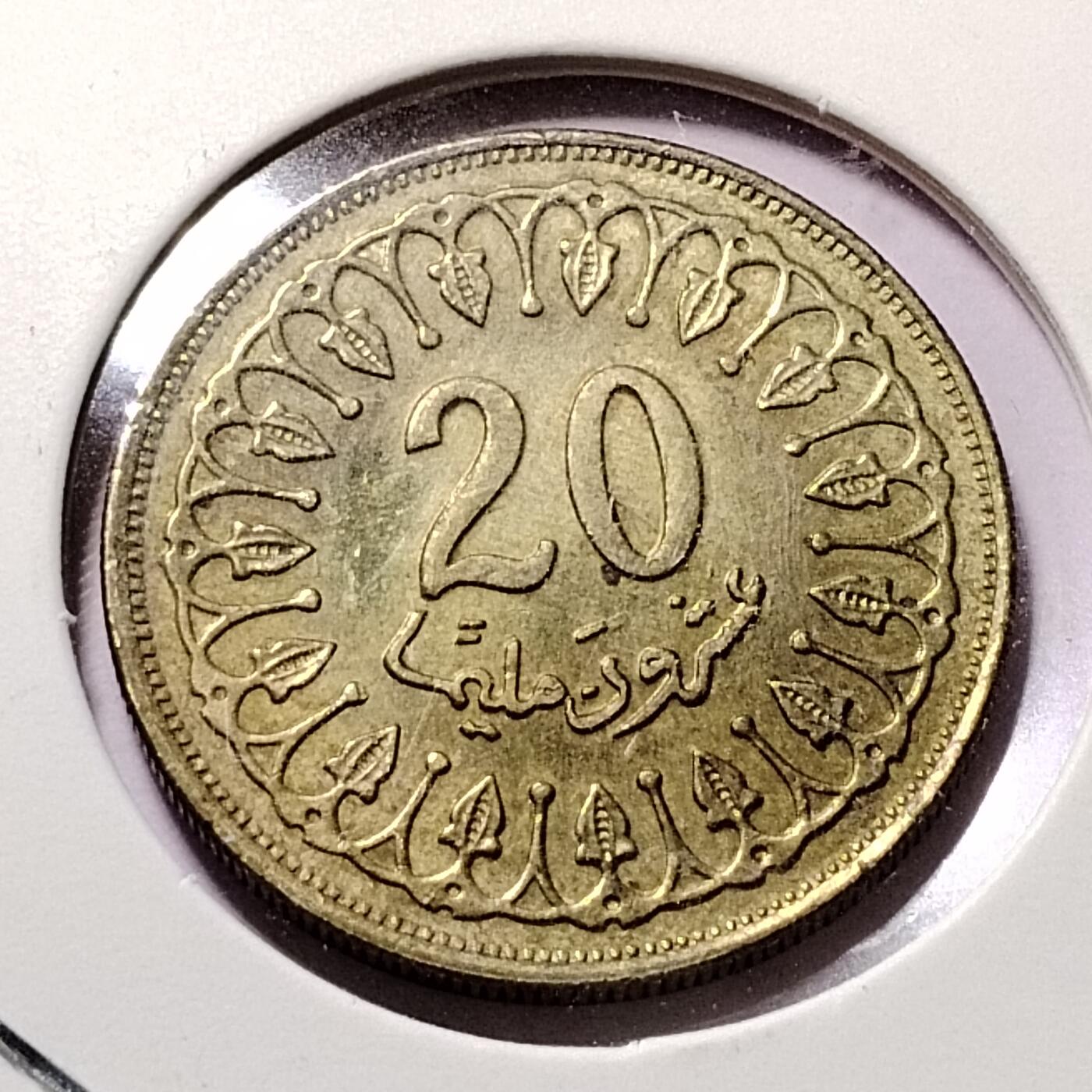 20240620 突尼斯