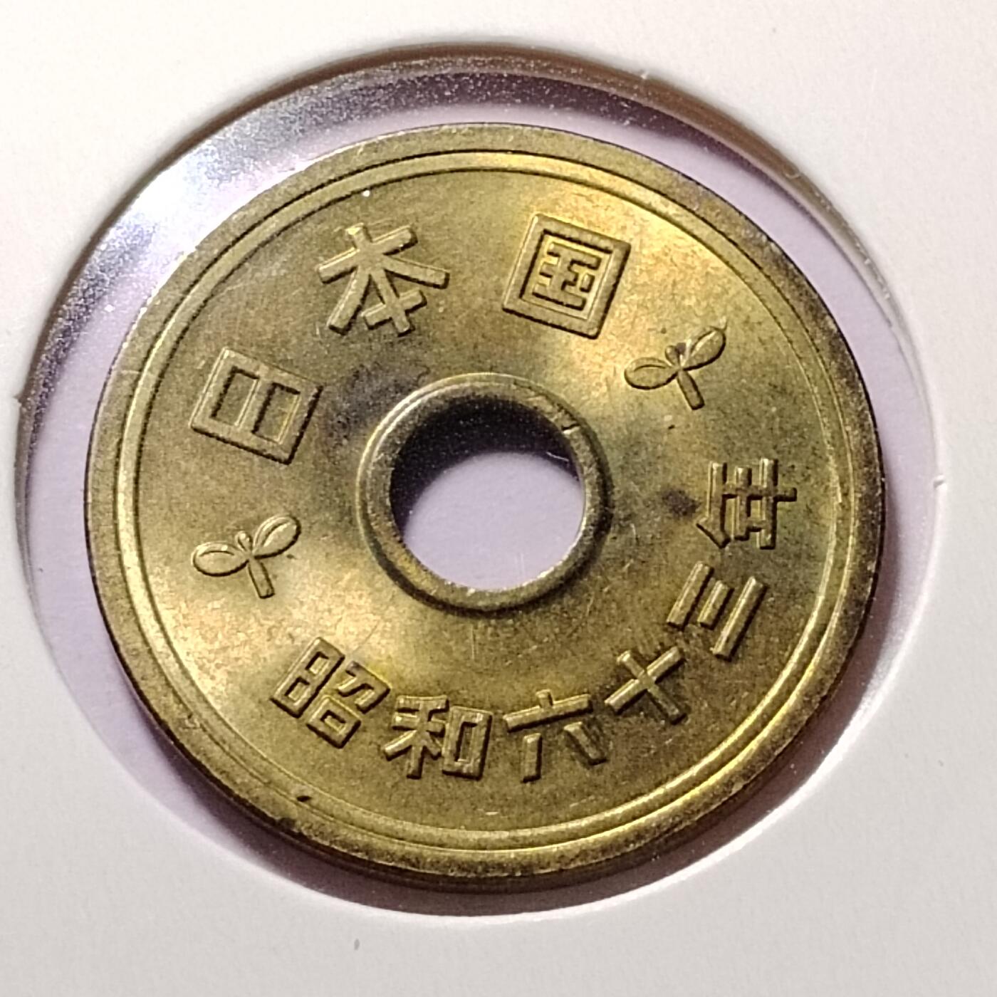 20240620 63