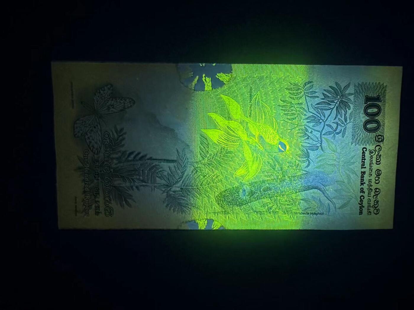 【Blue Auction】✨世界纸币精拍第495期【精】 斯里兰卡 1979年100元 大金鸟 AU品相