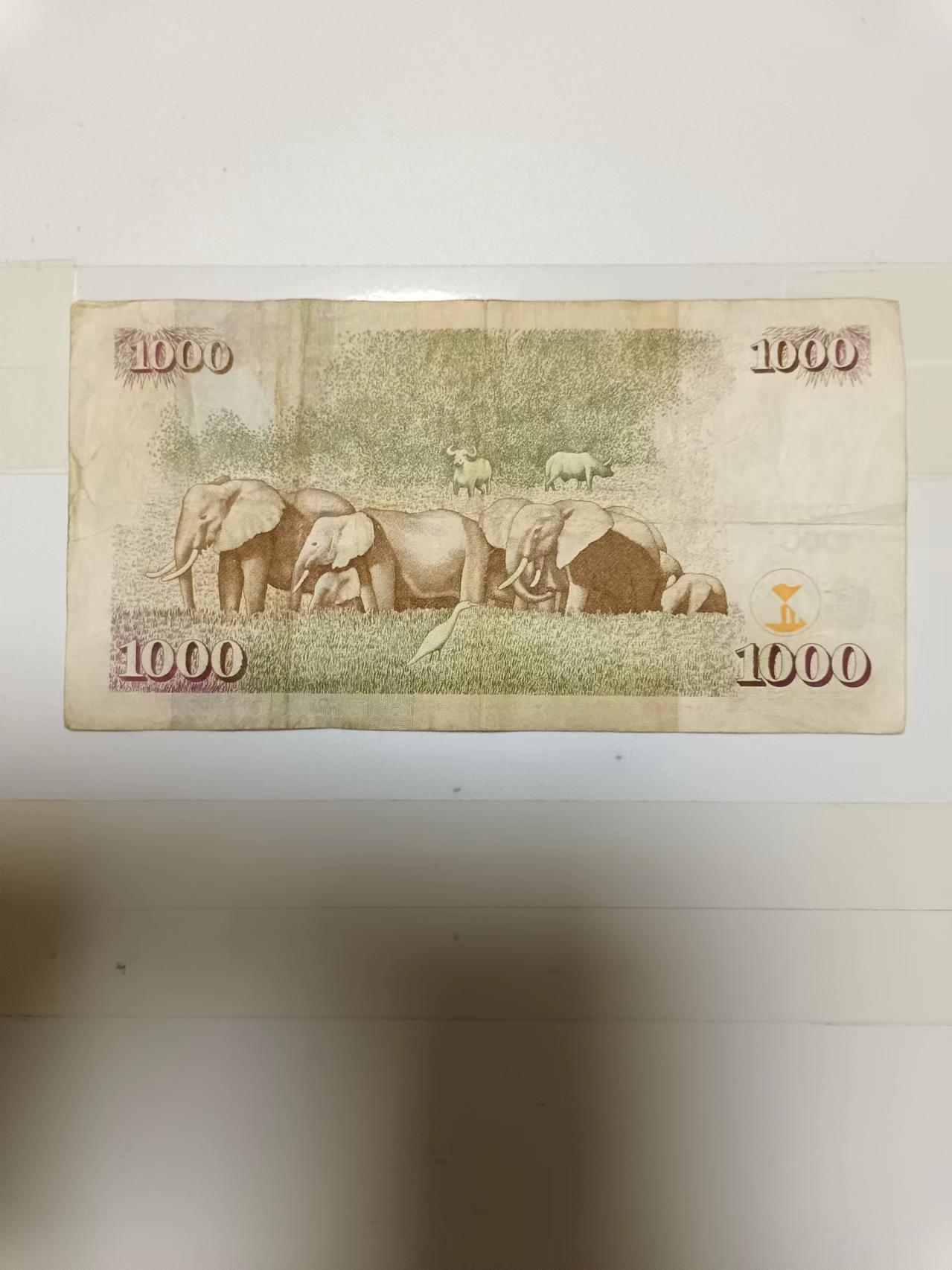 【20240626】非全新纸币第146场 肯尼亚1000先令